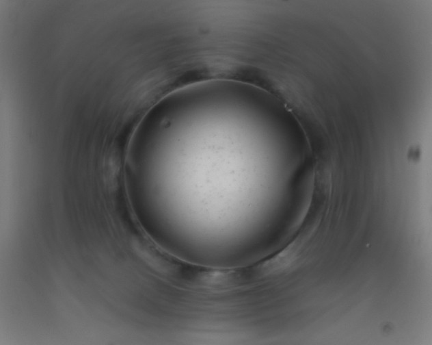 X0000092290082200709281314