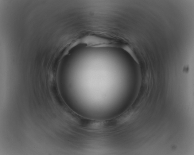 X0000092290084200709281314