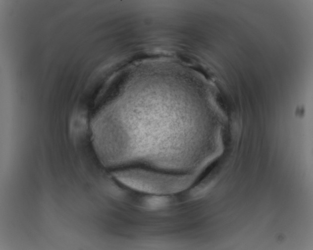 X0000092290085200709281314