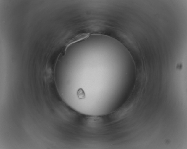 X0000092290087200709281314