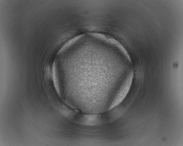 X0000092290089200709281314