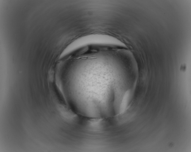 X0000092290090200709281314