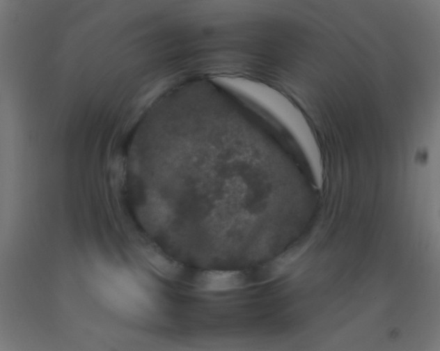 X0000092290093200709281314