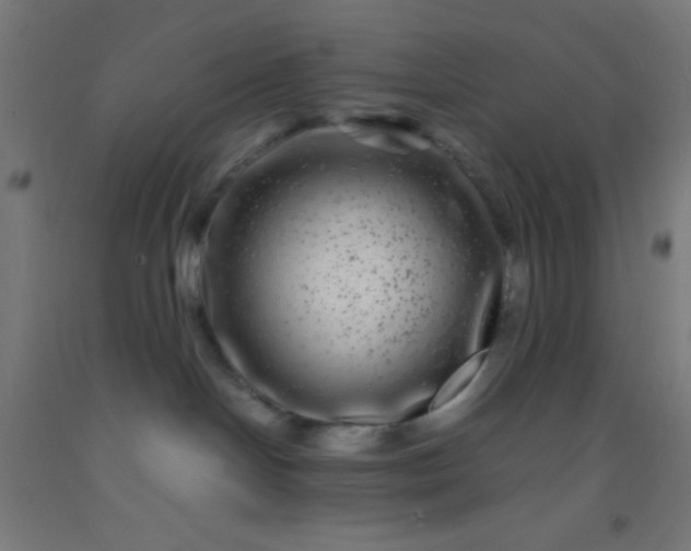 X0000092290094200709281314