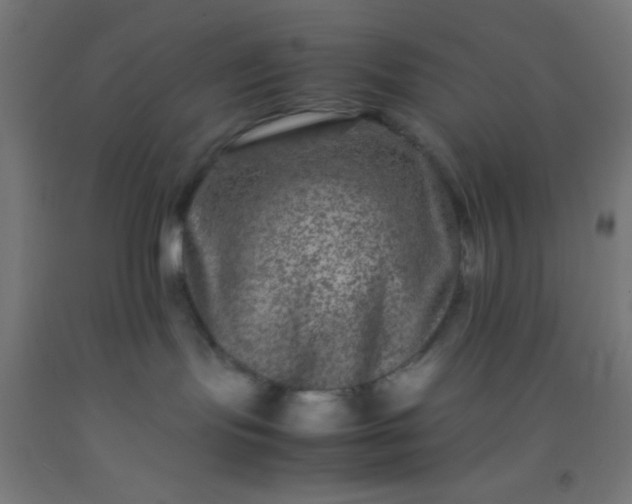 X0000092290095200709281314