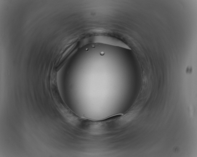 X0000092290096200709281314