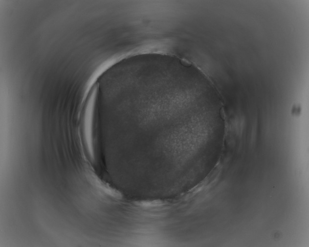 X0000092290100200709281314