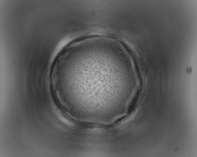 X0000092290102200709281314