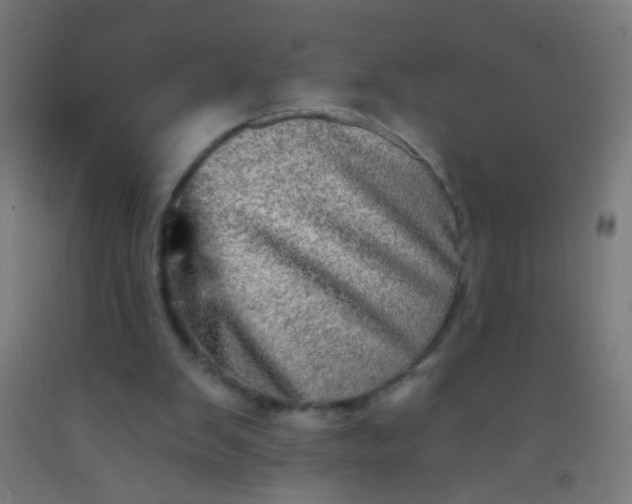 X0000092290103200709281314