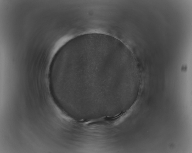 X0000092290104200709281314