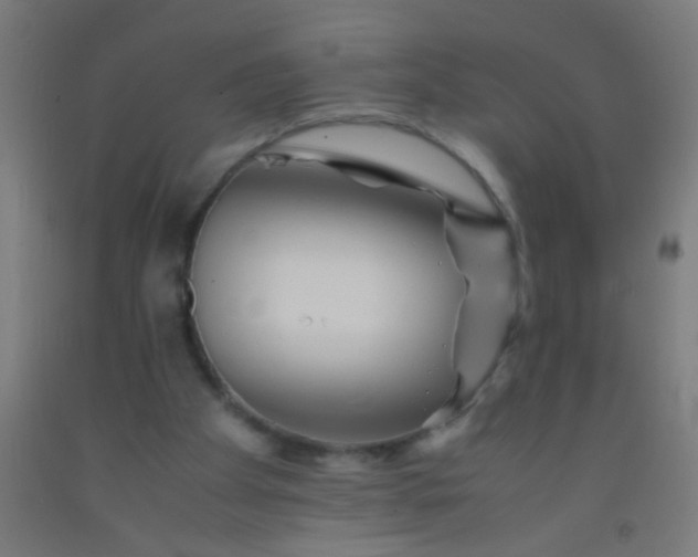 X0000092290105200709281314