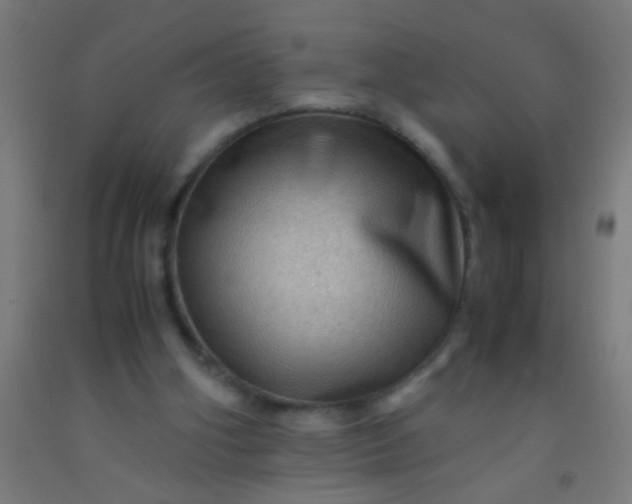 X0000092290106200709281314