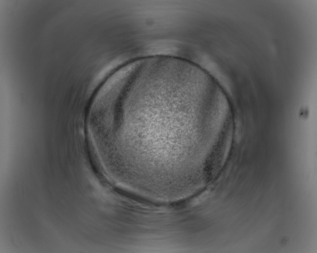 X0000092290107200709281314