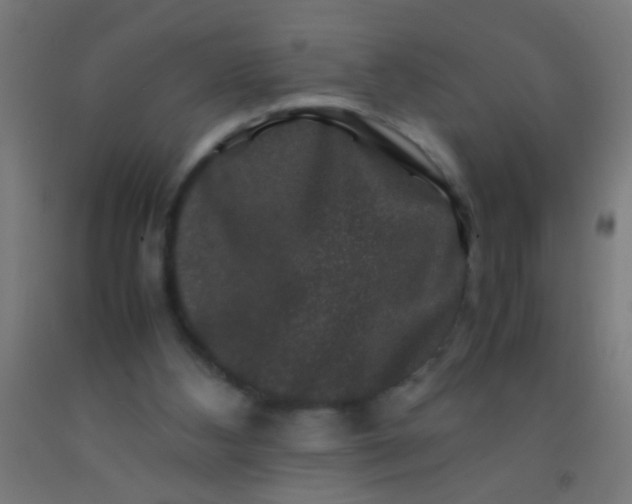 X0000092290108200709281314