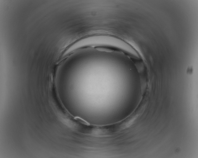 X0000092290109200709281313