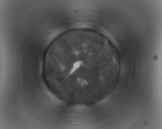 X0000092290110200709281313