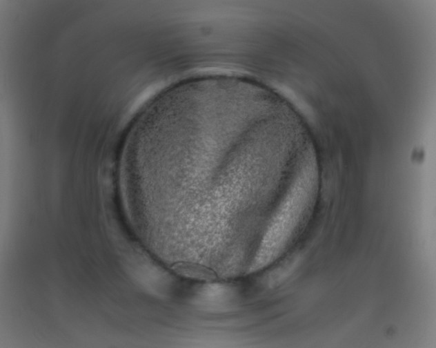 X0000092290111200709281313