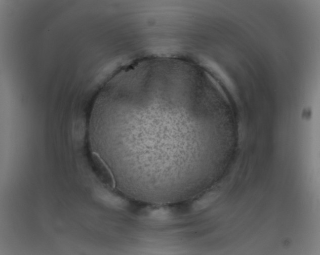 X0000092290113200709281313