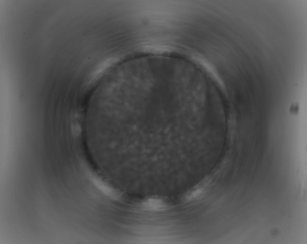 X0000092290114200709281313