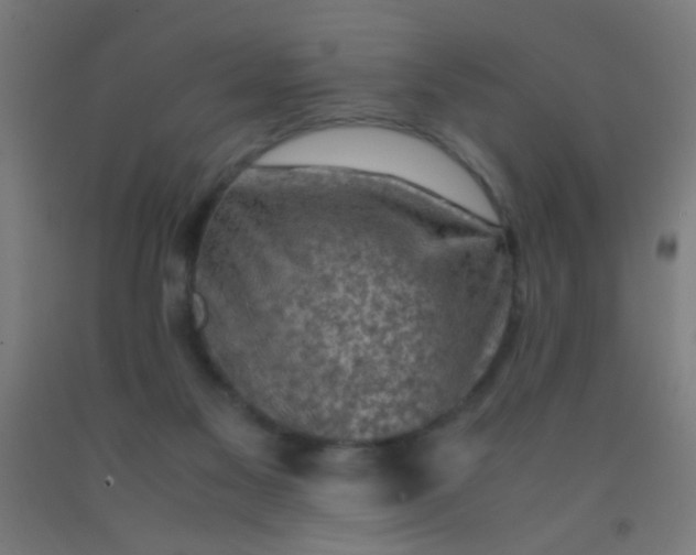 X0000092290117200709281313