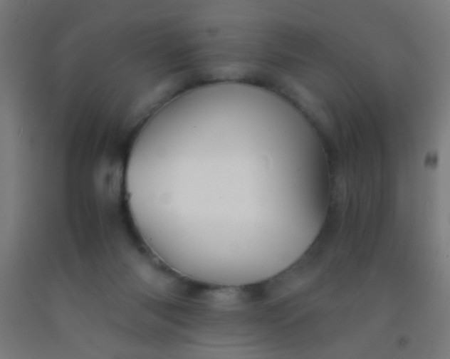 X0000092290118200709281313