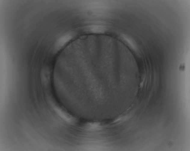 X0000092290120200709281313