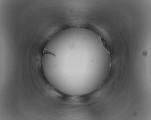 X0000092290121200709281313