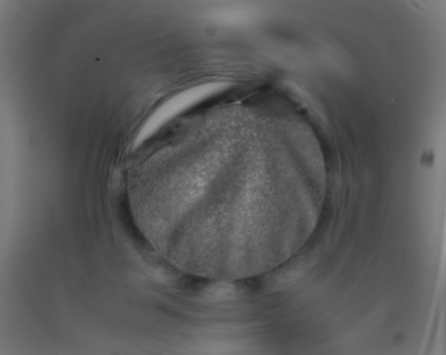 X0000092290123200709281313