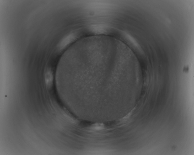 X0000092290124200709281313