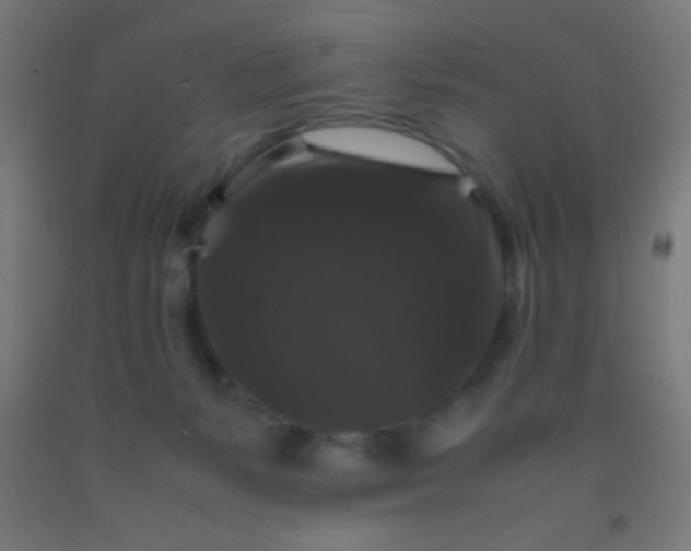 X0000092290127200709281313