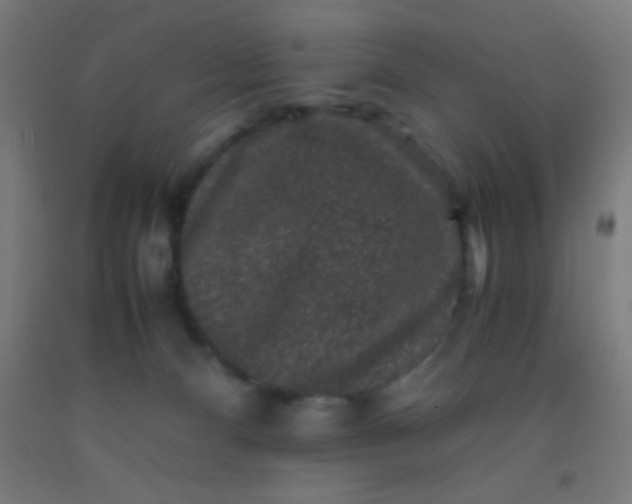 X0000092290128200709281313