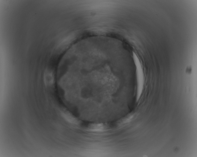 X0000092290131200709281313