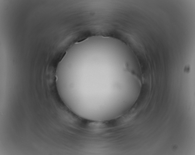 X0000092290133200709281313