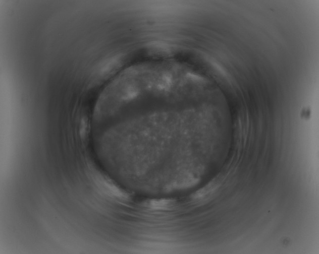 X0000092290134200709281313