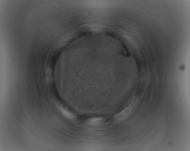 X0000092290136200709281313