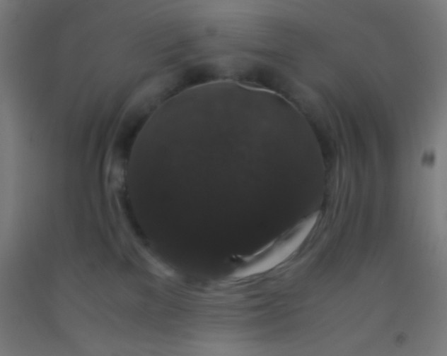 X0000092290137200709281313