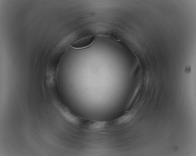 X0000092290138200709281313