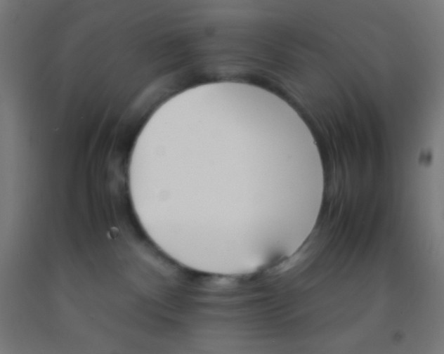 X0000092290140200709281313