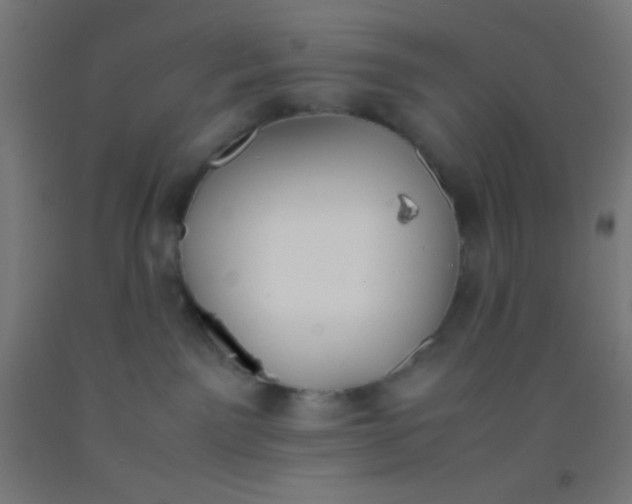 X0000092290141200709281313