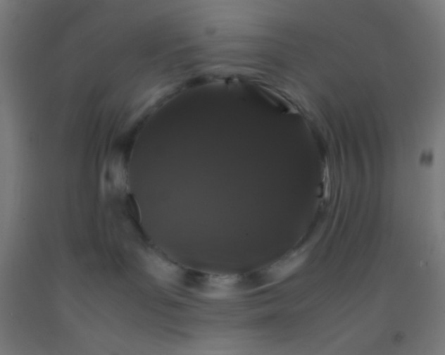 X0000092290143200709281313