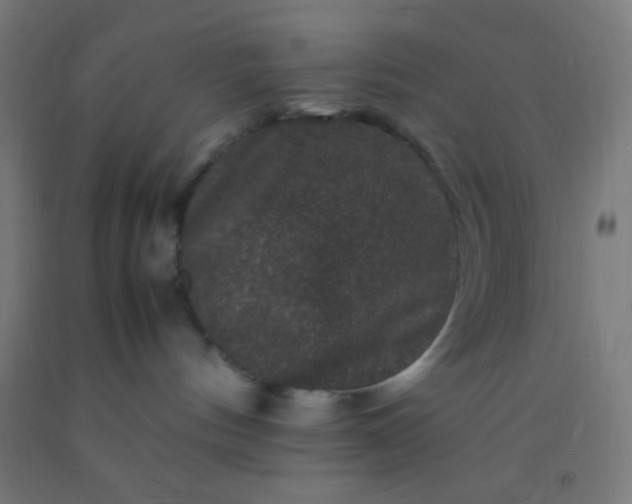 X0000092290144200709281313