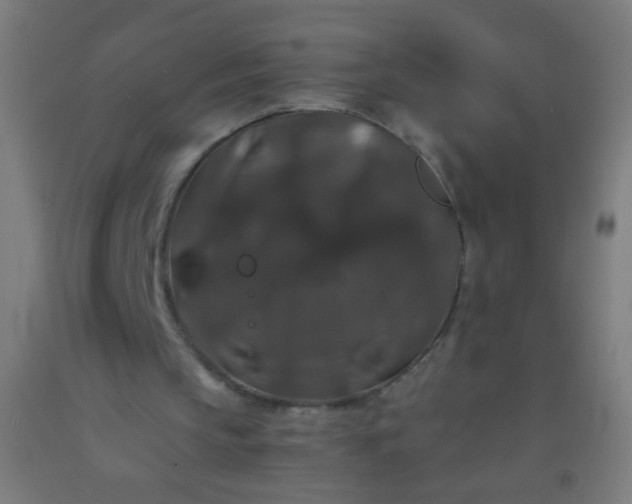 X0000092290145200709281312