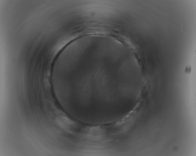 X0000092290146200709281312