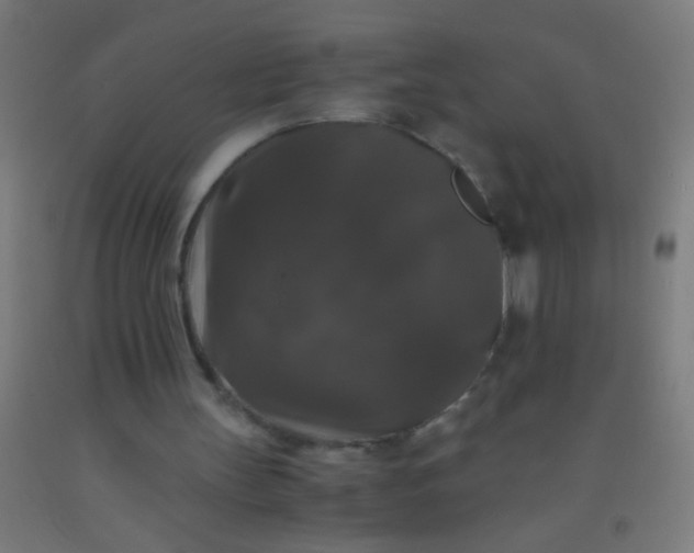 X0000092290147200709281312