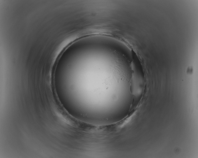 X0000092290148200709281312