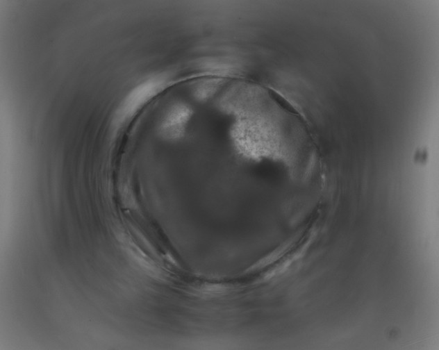 X0000092290149200709281313