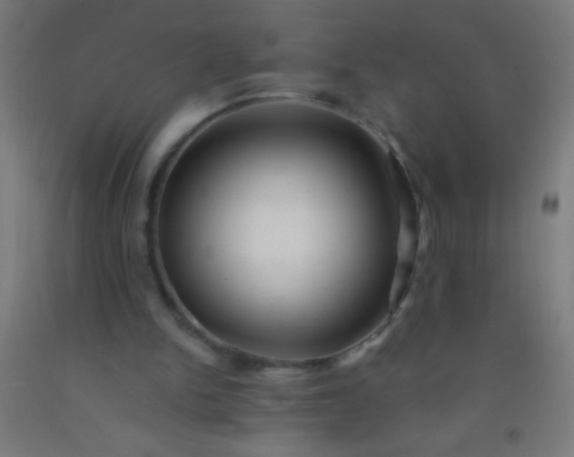 X0000092290150200709281313