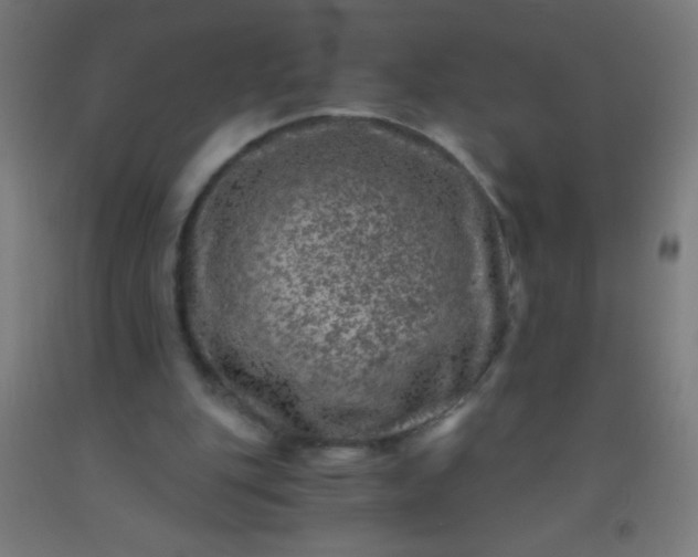 X0000092290151200709281313