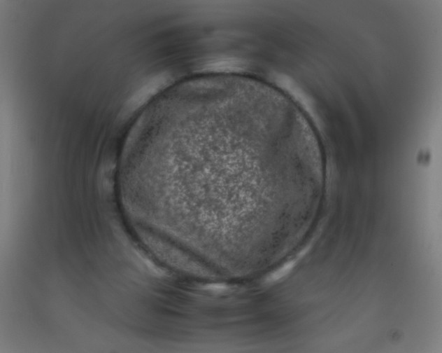 X0000092290153200709281313