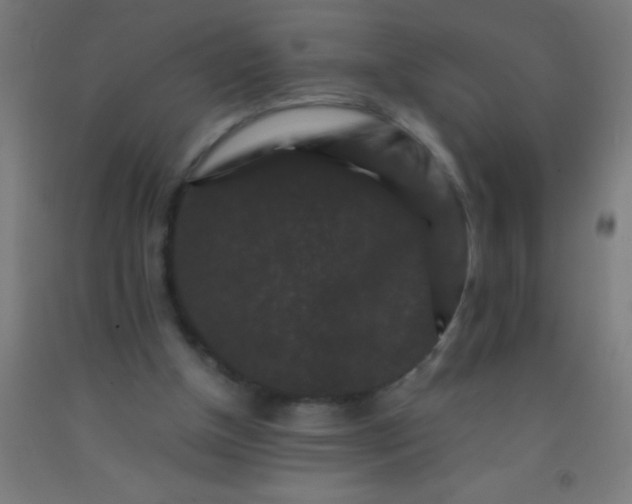 X0000092290154200709281313